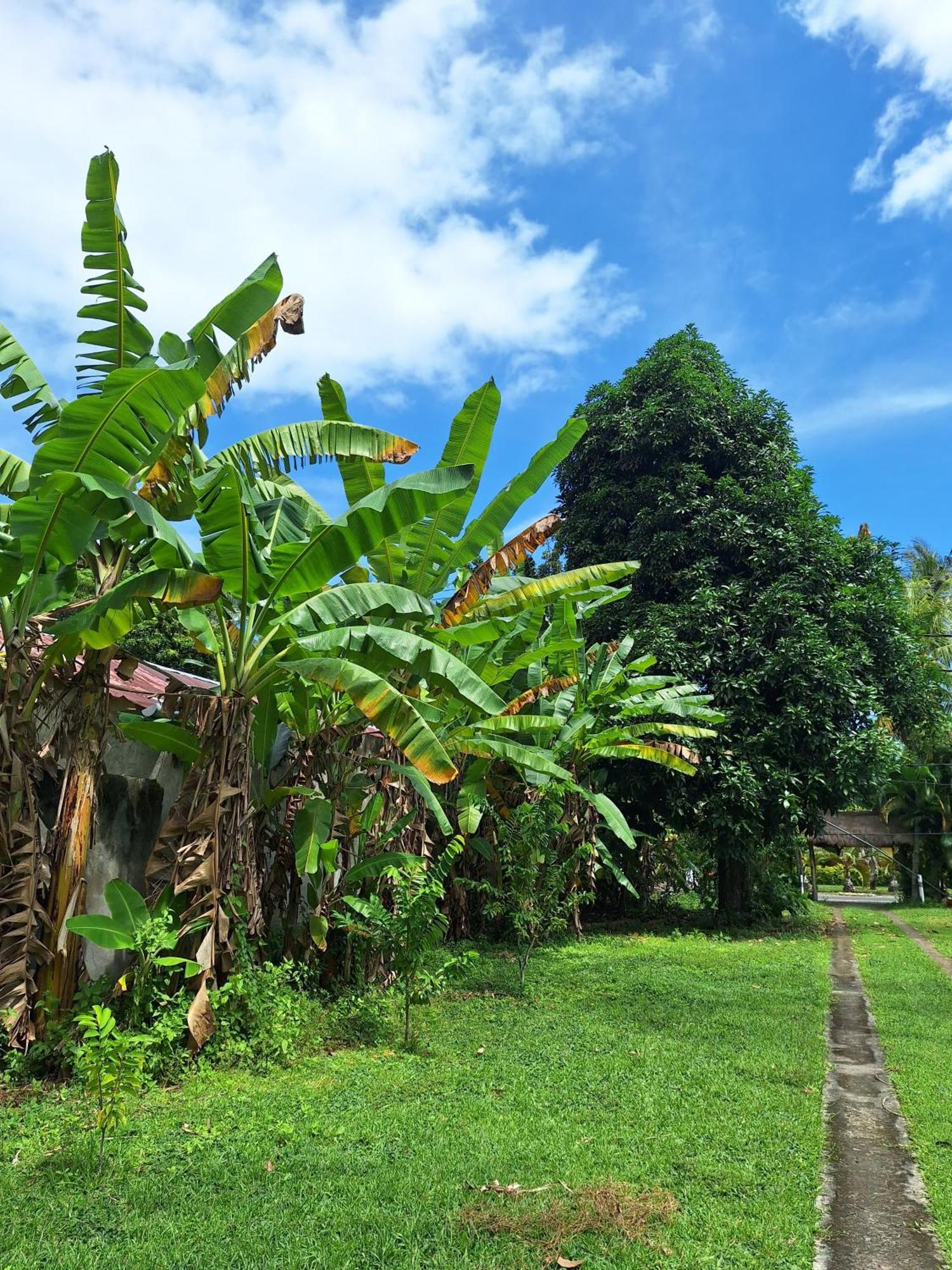 Lendang Eco Lodge Senggigi Exterior photo